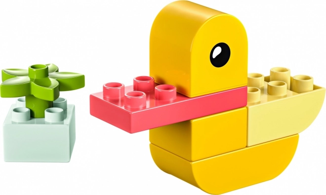 DUPLO Mon premier petit canard 4 en 1