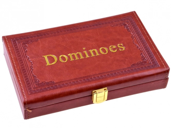 Jeu logique Domino dans un emballage élégant