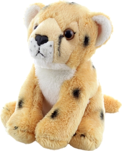 Détails réalistes pour stimuler l’imagination