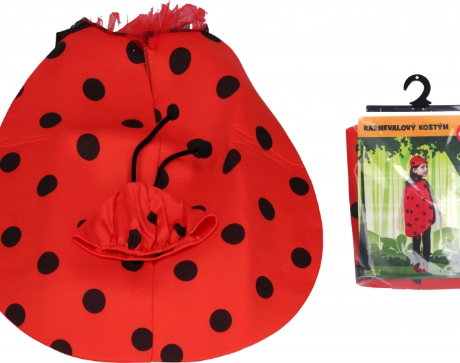 Costume Coccinelle pour carnaval