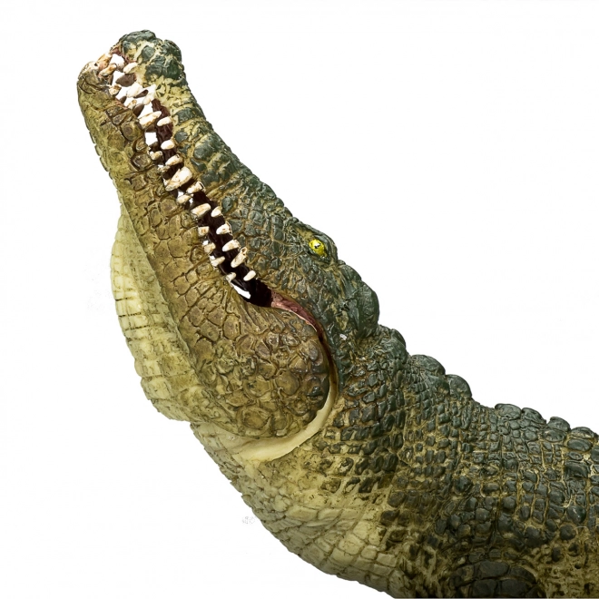 Crocodile Réaliste avec Mâchoire Articulée