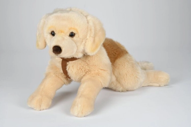Retrievers en peluche pour câliner