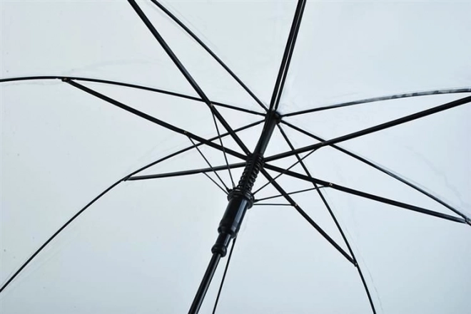 Parapluie transparent