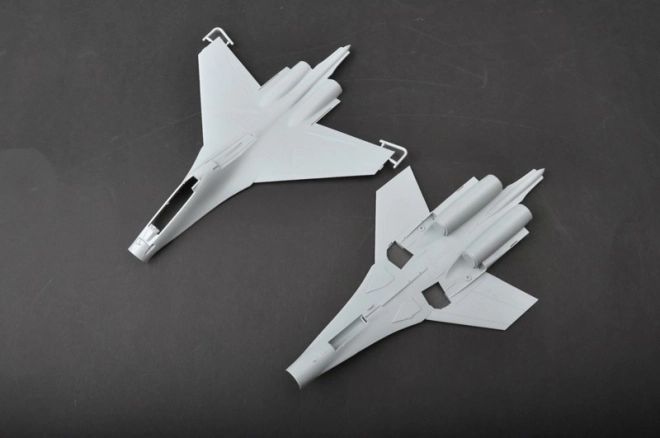Avion de chasse russe Su-30MKK Flanker G