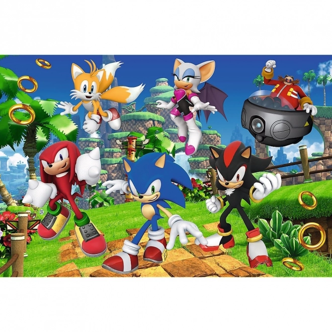 Puzzle Sonic et amis 160 pièces