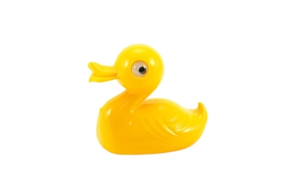 Canard en plastique pour le bain