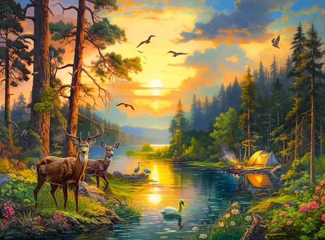 Puzzle 3000 pièces Coucher de soleil sur la rivière forestière