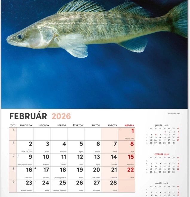 Calendrier mural Pêcheur 2026