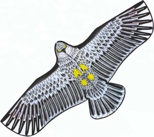 Cerf-volant aigle SPORTO 1,8 m