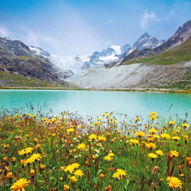 Calendrier de notes Alpes 2026