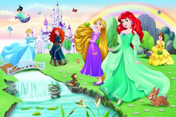 Puzzle Découvrez les princesses 33x22cm 60 pièces dans une boîte 21x14x4cm