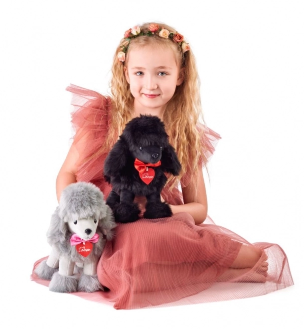 Peluche caniche Charlie