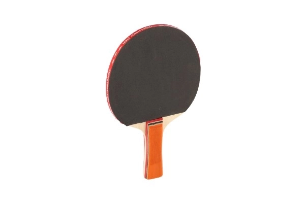 Raquette de tennis de table