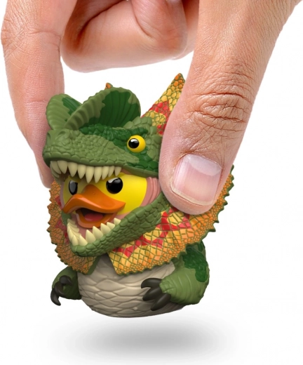 Idéale pour les collectionneurs et le bureau