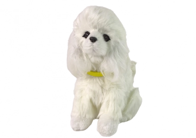 Chien interactif caniche Chien en peluche qui aboie et remue la queue