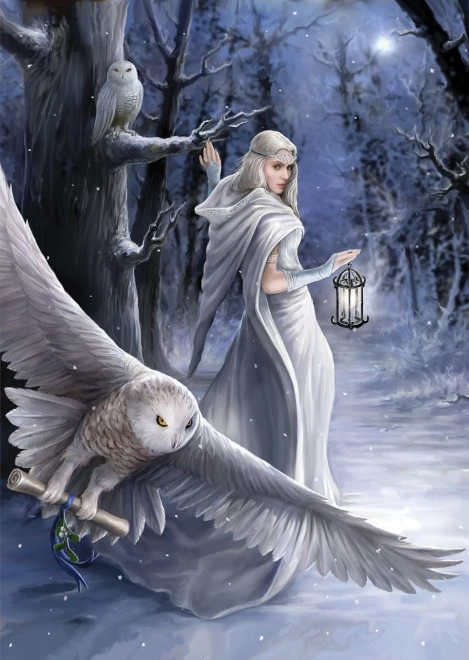 Puzzle Anne Stokes Messager de minuit 1000 pièces