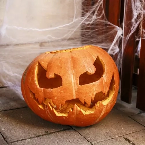 Toile d'araignée artificielle d'Halloween avec araignées