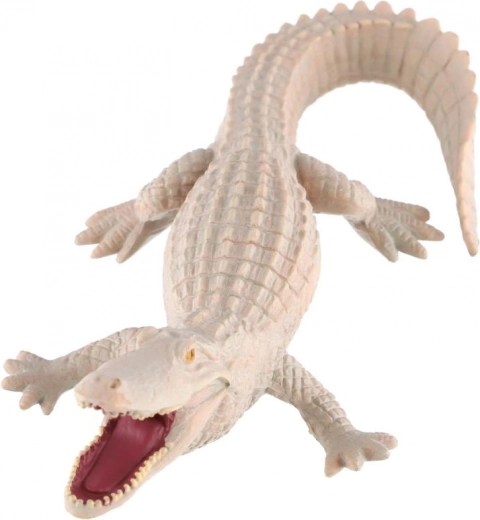 Valeur éducative sur une coloration rare