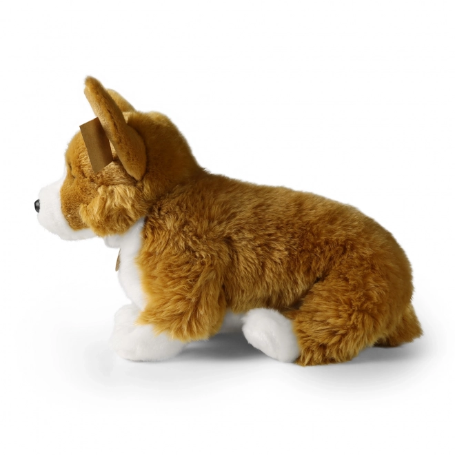 Chien en peluche corgi 32 cm en matériaux écologiques