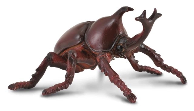 COLLECTA Rhinocéros capucin