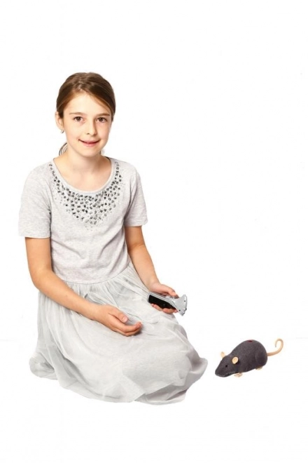 Souris télécommandée