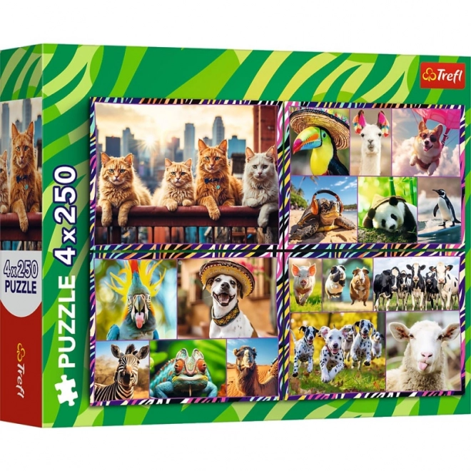 Puzzle 4x250 pièces Animaux Amusants