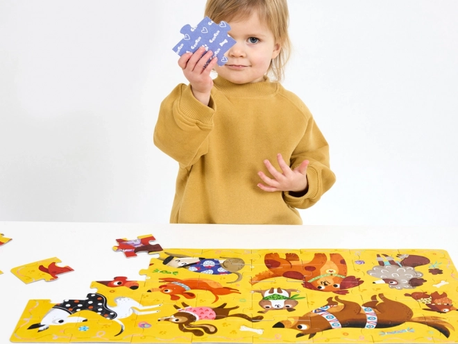 CzuCzu Puzzle Hau Piesci, 40 pièces
