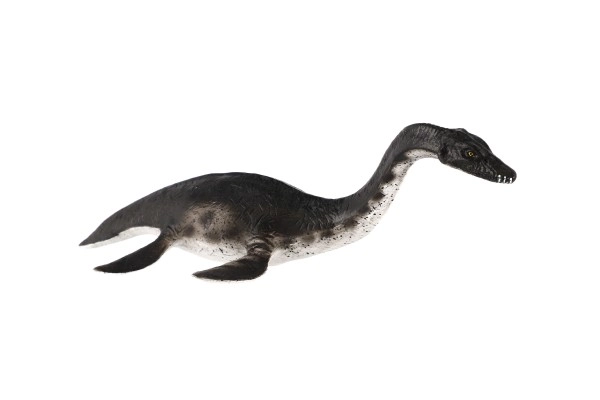 Plesiosaure en plastique 23cm en sachet