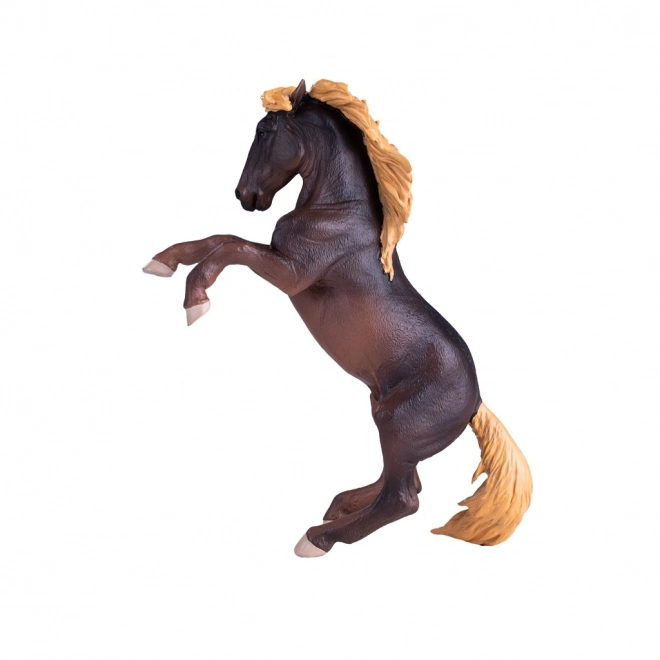 Mojo Étalon Brumby