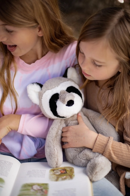 Raton laveur en peluche mignon