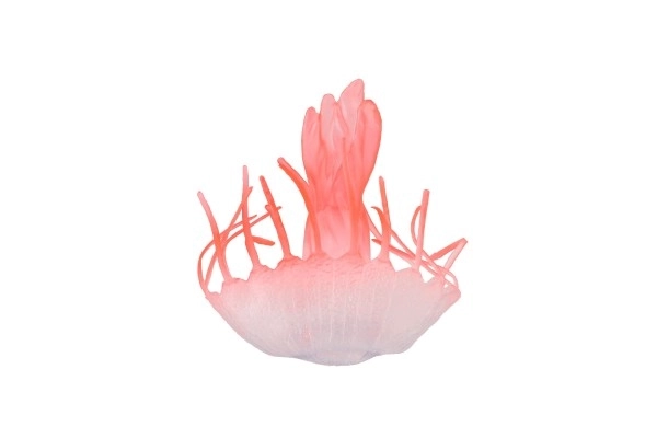 Animaux marins en plastique avec accessoires