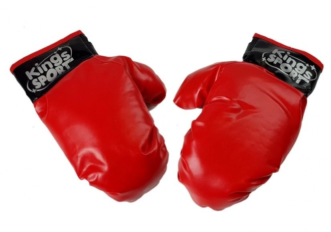 Ensemble de Boxe Sac Gants Ceinture de Boxe Victoire