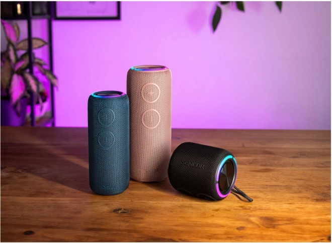 Haut-parleur Bluetooth Sencor Sirius 2 Mini noir