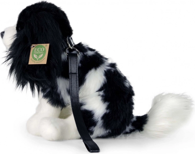 Laisse pour jouer aux promenades