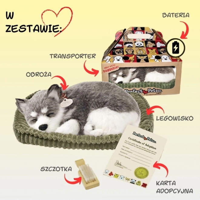 Husky d'Alaska en peluche à couper le souffle