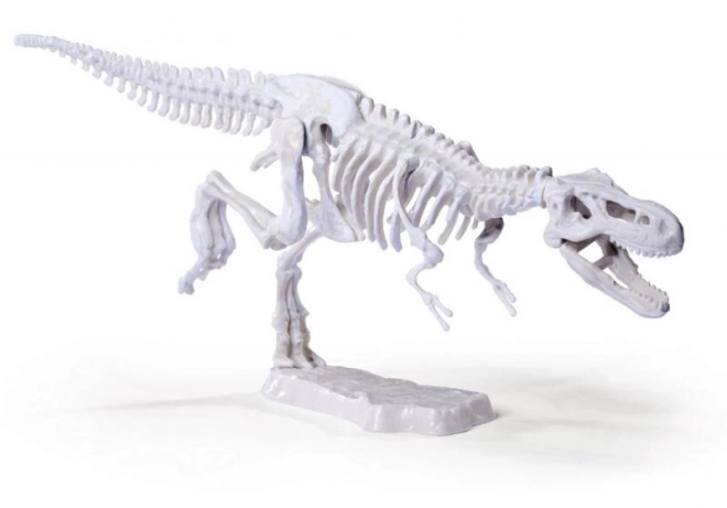 Kit pour déterrer et assembler des squelettes de dinosaures