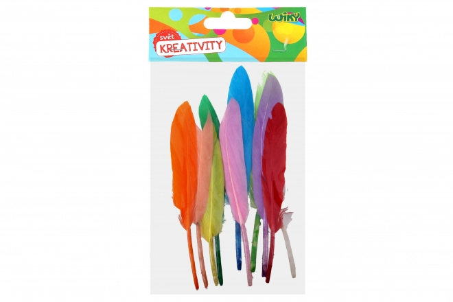 Ensemble créatif de plumes décoratives