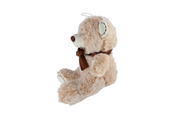 Ours en peluche avec un nœud