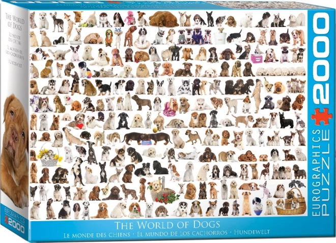 EUROGRAPHICS puzzle Monde des chiens 2000 pièces
