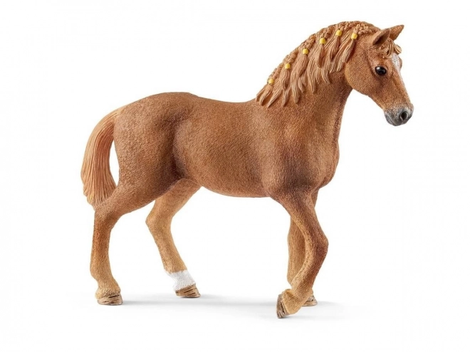Quarter Horse, jument