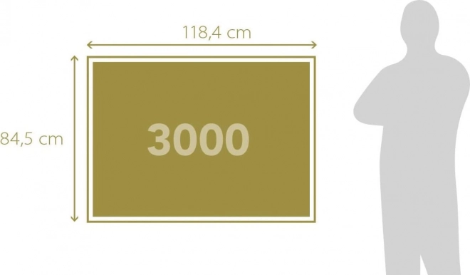 Puzzle Histoire de Paris 3000 pièces