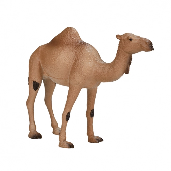 Mojo Animal Planet Dromadaire