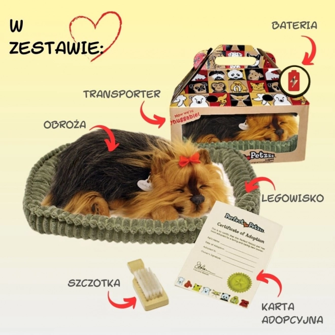 Perfektnd Petzzz Chiot York Aboyant