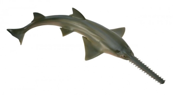 Requin-scie à dents multiples