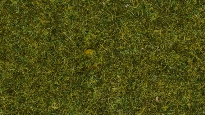 Herbe statique Prairie 4 mm