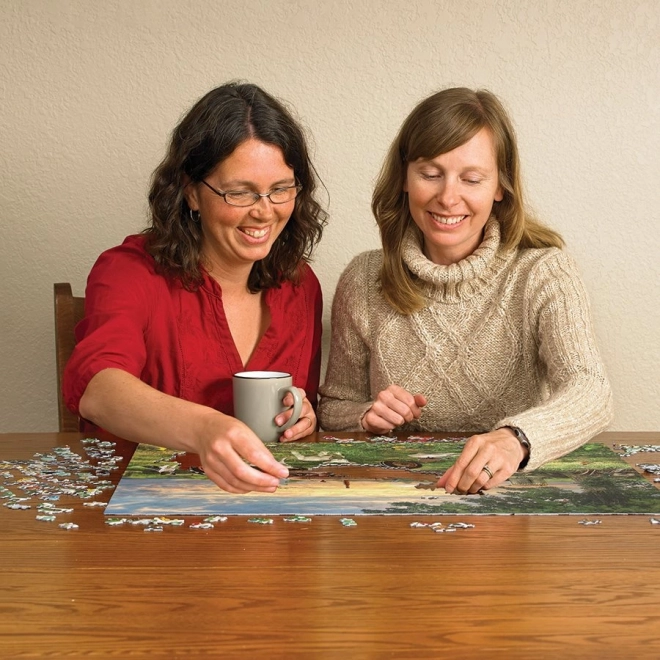 Puzzle Champ au lever de soleil de Cobble Hill 1000 pièces