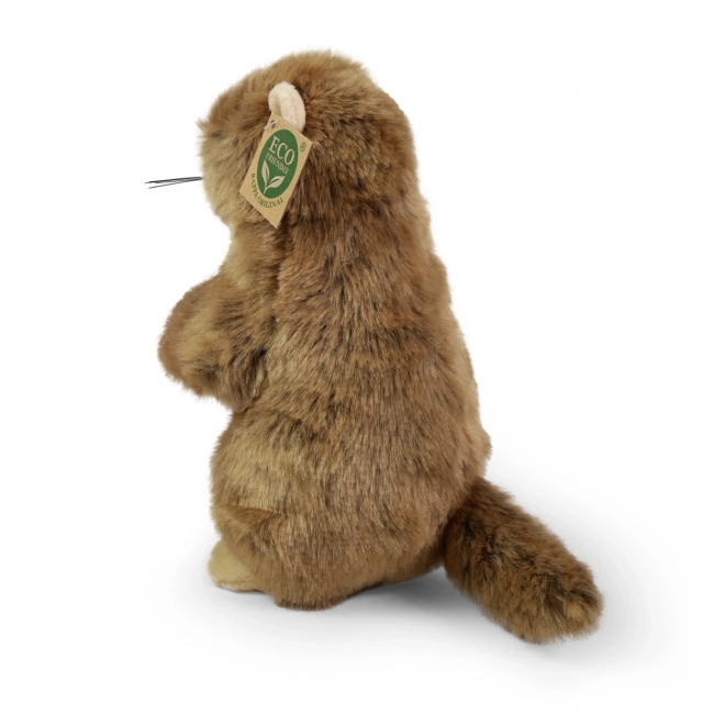 Marmotte en peluche 23 cm ÉCOLOGIQUE