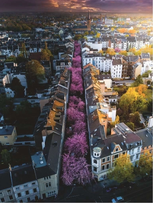 Puzzle Ravensburger 1500 pièces Bonn, Allemagne