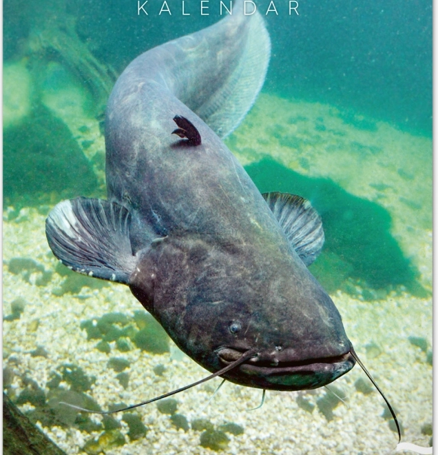 Calendrier mural de pêche 2026