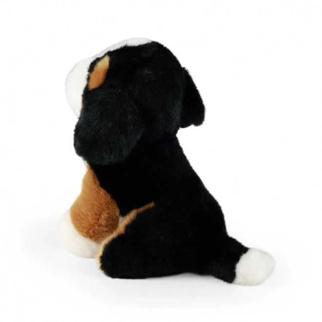 Chien de montagne bernois en peluche